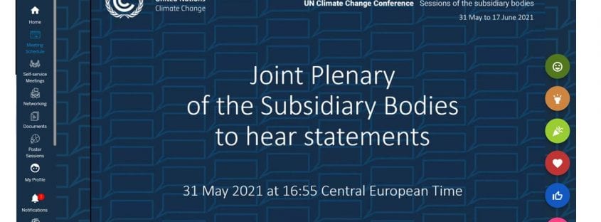 Subsidiary Bodies Title Slide