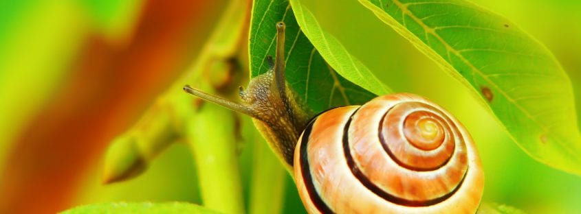 Photo by Krzysztof Niewolny on Unsplash