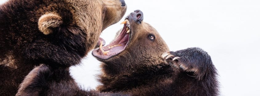 Photo by Zdeněk Macháček on Unsplash