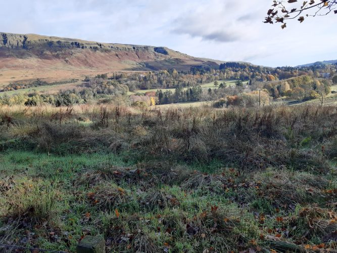 View from Dave Waltham's campervan