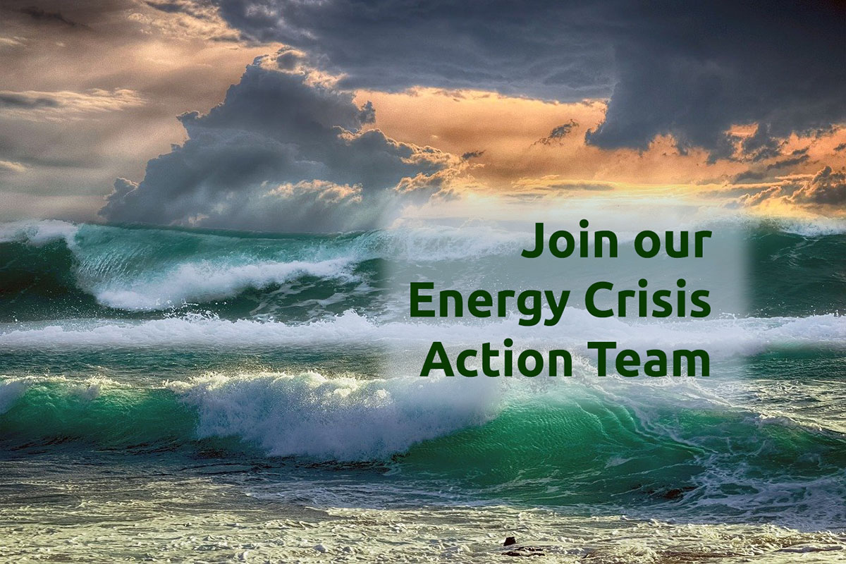 Energy Crisis Action team image